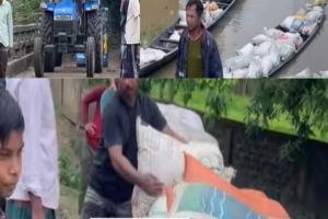রাজনগরে বড় ব্রিজে ধানের অস্থায়ী বাজার, কৃষকের মুখে স্বস্তির হাসি