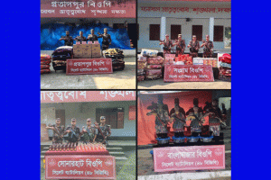 সিলেট সীমান্তে প্রায় ২৮ লাখ টাকার ভারতীয় চোরাচালানি জব্দ