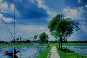 বর্ষাকালে জেগে উঠে গ্রামীণ প্রকৃতি