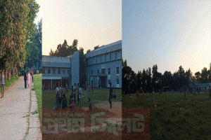 ঘাসে ঢাকা প্রাণ : সিলেটের ‘ফাইভ ইন ওয়ান’ মাঠ