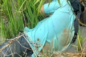 জৈন্তাপুরে ধানক্ষেতে যুবকের মরদেহ উদ্ধার