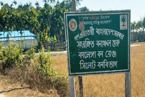 হবিগঞ্জে রেমা কালেঙ্গায় বনদস্যু-বনরক্ষীদের গোলাগুলি