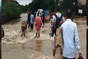 পাহাড়ি ঢলে সুনামগঞ্জের সাথে তাহিরপুরের যোগাযোগ বিচ্ছিন্ন