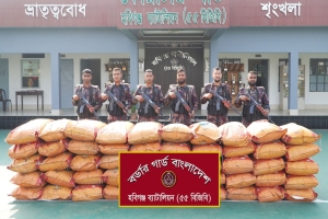 হবিগঞ্জে ২৫ লাখ টাকার ভারতীয় জিরা জব্দ
