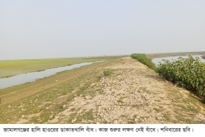 সুনামগঞ্জে ২০ দিনেও শুরু হয়নি হাওরের ফসলরক্ষা বাঁধের কাজ