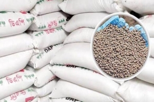 সুনামগঞ্জে পাচার হচ্ছে সরকারি ভর্তুকির সার