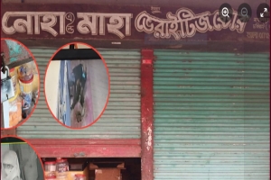 মৌলভীবাজারে চোর আতঙ্ক : চারদিনে একাধিক চুরি