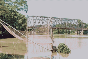 ওসমানীনগরে জলমহাল শাসন-শোষণে ধ্বংস হচ্ছে মাছের প্রজনন
