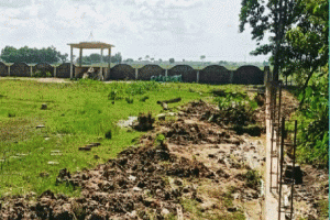 গোয়াইনঘাটে কাজ করেন গ্রামবাসী, সরকারি বিল তোলেন আলিম মেম্বার