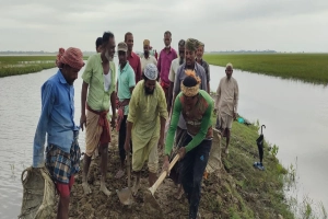 জামালগঞ্জে ফসল বাঁচাতে স্বেচ্ছাশ্রমে বাঁধ মেরামত