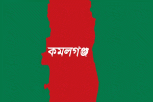 কমলগঞ্জে নারকেলগাছ পরিষ্কার করতে উঠে বিদ্যুৎস্পৃষ্টে যুবকের মৃত্যু