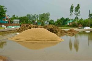 ধান তলিয়ে হবিগঞ্জের প্রায় ২০ হাজার কৃষক দিশেহারা