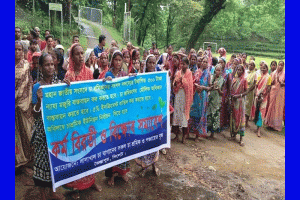 সিলেটের ২৩টি চা-বাগানে দ্বিতীয় দিনের মতো শ্রমিকদের কর্মবিরতি
