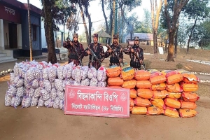 সিলেট ও সুনামগঞ্জ সীমান্তে ১ কোটি ৩০ লাখ টাকার চোরাইপণ্য জব্দ