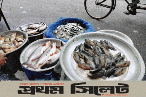 হাওরে মাছ আছে, স্বাদ নাই’