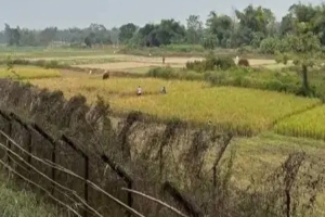 মৌলভীবাজারে বিএসএফের গুলিতে বাংলাদেশি নিহত