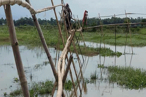 বাঁশের সাঁকোই একমাত্র ভরসা যাদের
