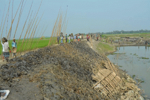 সুনামগঞ্জে হাওর ফসল রক্ষা বাঁধে কোটি টাকার লুটপাট