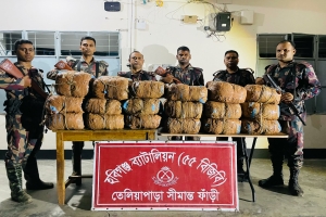 মাধবপুর ও শ্রীমঙ্গলে বিজিবির অভিযানে বিপুল পরিমাণ মাদক উদ্ধার