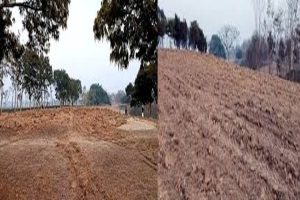 শমসেরনগর চা বাগানের ঐতিহাসিক গলফ মাঠ ধ্বংসের অভিযোগ