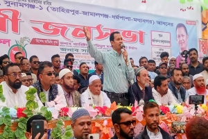 তারেক রহমানের হাতকে শক্তিশালী করতে ধানের শীষে ভোট দিন: কামরুল