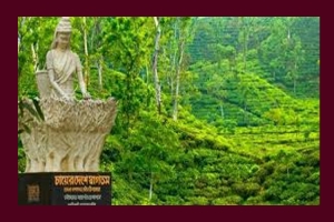 চা সিলেটের, রাজত্ব চট্টগ্রামের!