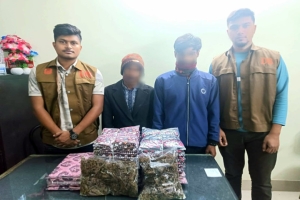 হবিগঞ্জে গাঁজা পাচারকালে দুইজন আটক