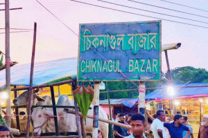 জৈন্তাপুরে ৭ দিন অনুমোদনের পশুর হাট ৫ মাসেও বহাল