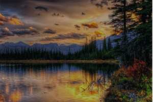 সুপ্রভাত শুরু হোক সুসংবাদে : বাঘিনীদের কাছে শ্রীলঙ্কা বধ