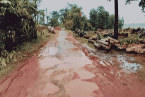 শাহবাজপুর-থানাবাজার সড়ক :  প্রতিদিন ঝুঁকিতে চলছে যানবাহন 