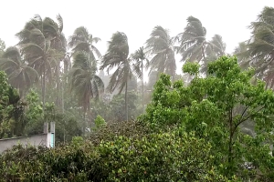 দেশের তিন অঞ্চলে ৮০ কিমি বেগে তীব্র ঝড়ের পূর্বাভাস