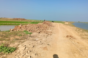 প্রকৌশলী যখন ‘সই দেওয়ার যন্ত্র’: জগন্নাথপুরে বাঁধের নামে লুটপাটের মহোৎসব!