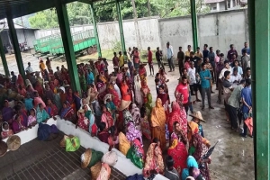 হবিগঞ্জ ও মৌলভীবাজারের চার চা বাগানে অনির্দিষ্টকালের ধর্মঘট