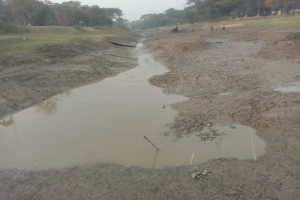 শান্তিগঞ্জে নীতিমালা লঙ্ঘন করে জলমহাল শুকিয়ে মাছ নিধন: সংকটে বোরো চাষ