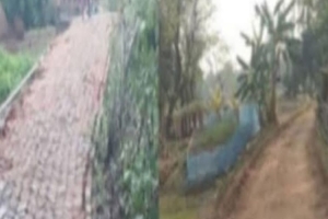 জকিগঞ্জে রাতের আঁধারে সরকারি সড়কের ইট উধাও