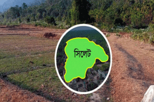 সিলেট সীমান্তে আগস্টে শত কোটি টাকার চোরাই পণ্য জব্দ