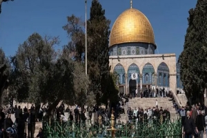 রাস্তায় নামাজ পড়তে বাধ্য হচ্ছেন ফিলিস্তিনিরা