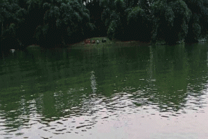 গোয়াইনঘাটের পিয়াইন নদীতে নৌকা ডুবে সিপাহী নিখোঁজ
