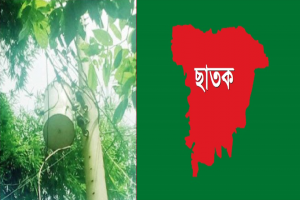 শতভাগ বিদ্যুৎতায়িত উপজেলায় বিদ্যুতহীন ১৫০ পরিবার