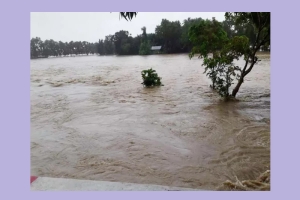 কমলগঞ্জের ধলাই নদীতে ডুবে এক ব্যক্তি নিখোঁজ