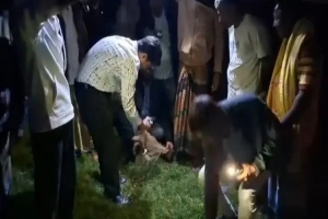 ধর্মপাশায় দুই শতাধিক পাখি উদ্ধার ও অবমুক্ত