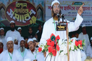গণভোটের রায় নিয়ে সরকার জনগণের সাথে প্রতারণা করছে : সিলেটে মামুনুল হক