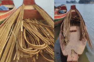 তাহিরপুরে মুজিব কেল্লার মালামাল পাচারকালে জনতার হাতে ঠিকাদার আটক