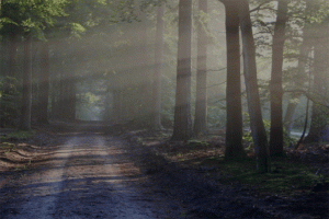 আজকের দিনপঞ্জি