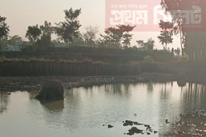 সুনামগঞ্জে সরকারি জমি কেটে লুট: উৎকোচে ধামাচাপা দেওয়ার চেষ্টা