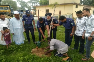 ভোলাগঞ্জ পুলিশ ফাঁড়িতে গাছের চারা রোপণ
