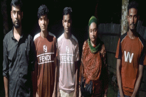 বড়লেখা সীমান্ত দিয়ে ৫ বাংলাদেশিকে বিএসএফের পুশইন