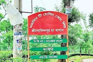 মৌলভীবাজারে শ্রেষ্ঠ চা উৎপাদনকারী হিসেবে শ্রীগোবিন্দপুর চা বাগান
