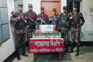 সরাইলে বিজিবির অভিযানে ৬৫ লাখ টাকার চোরাই পণ্য জব্দ  ​