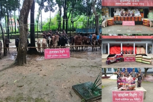 সিলেট সীমান্তে ৯০ লাখ টাকার চোরাচালানের পণ্য জব্দ